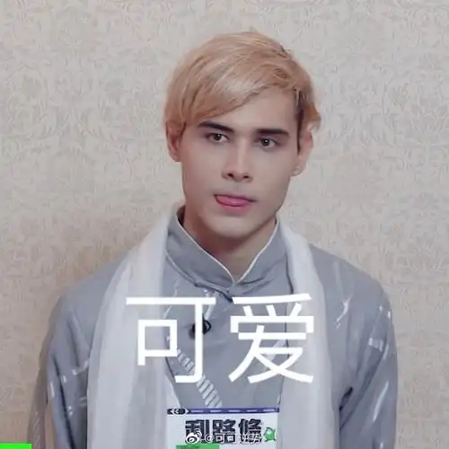 一个利路修漂亮表情包楼06