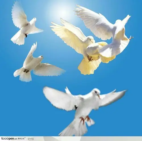 "悦享悦动 在家上学"杨柳班空中小课堂开讲啦!