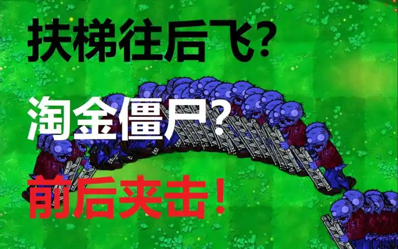 淘金僵尸自制关卡前后夹击