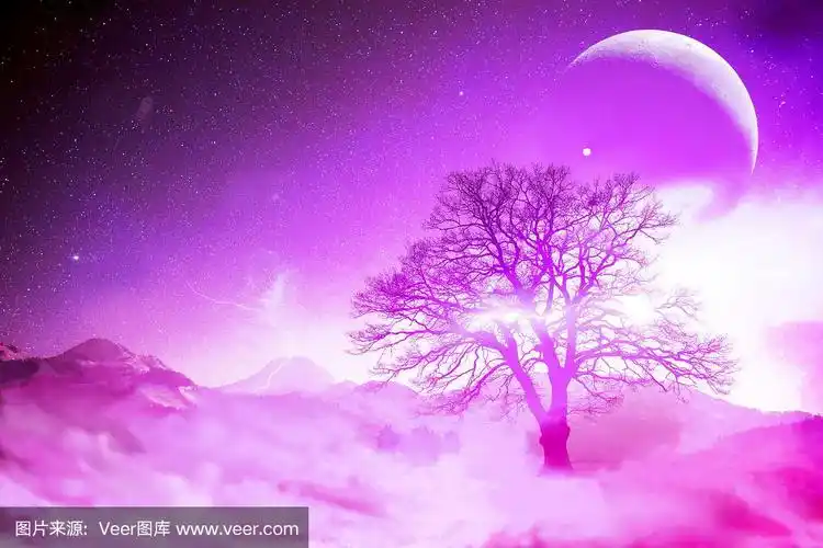 月亮和紫色的天空