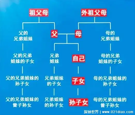政审三代是指哪三代,直系三代亲属(爷爷辈,父母辈,兄弟姐妹)