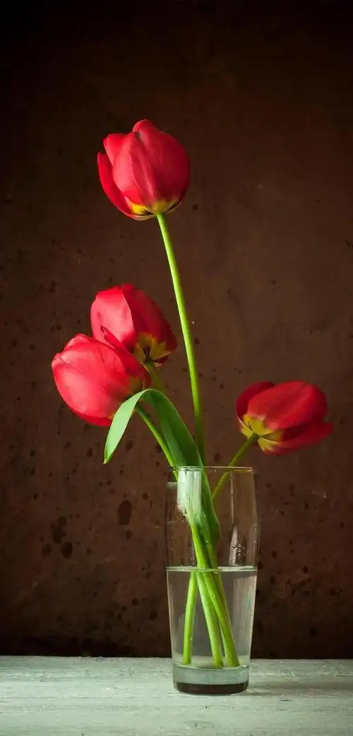 全面屏手机高清唯美壁纸