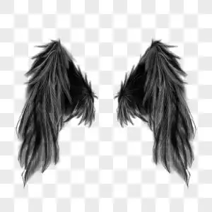 黑色恶魔魔鬼羽毛翅膀高清图片