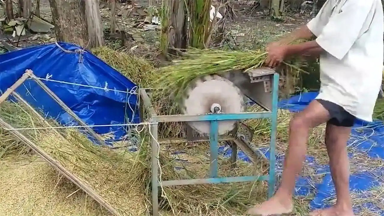 农村大叔自制水稻脱粒机,不用油和电一天脱粒3亩地,成本100元