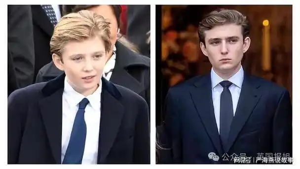 拜登|巴伦|大选|模特|共和党|梅拉尼娅|财务报表|唐纳·川普|总统