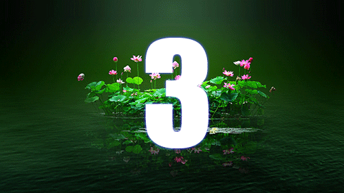 急求一个动态的3秒倒计时图背景好看点的最好.有的请发给我谢谢.