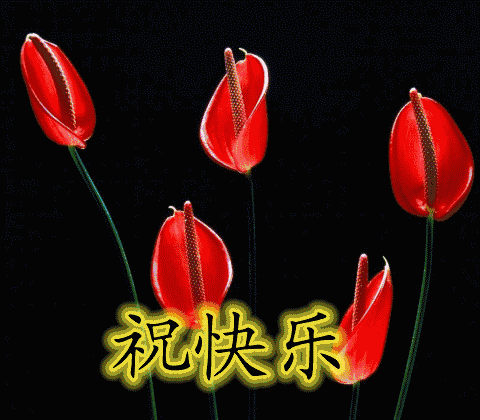 晚安问候动态美图 晚安问候祝福语大全动态