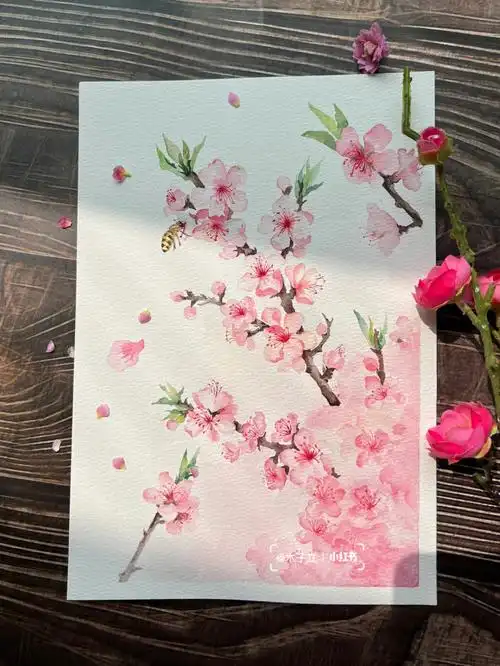 水彩花卉桃花附过程图临摹