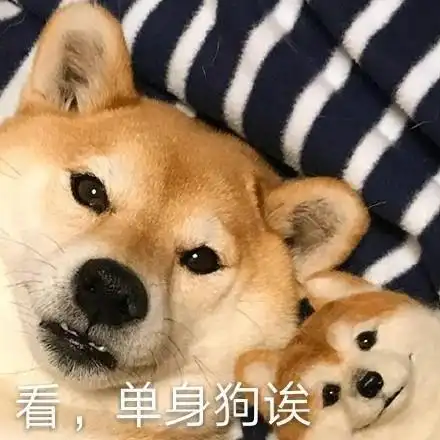 单身狗表情包.jpg