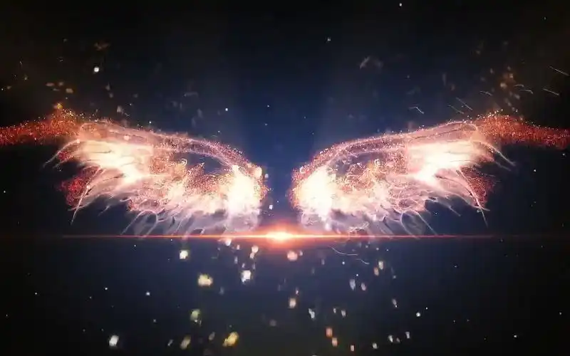 粒子翅膀羽毛伸展歌舞演艺舞台酒吧夜店晚会视频led大屏幕背景vj素材