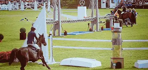 马几把有多大图片马几把叫什么