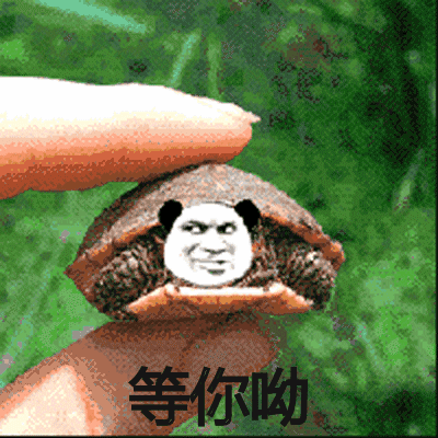 金馆长熊猫 等你呦 熊猫人 逗比 搞笑 等你