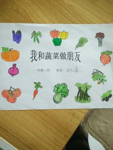 我和蔬菜交朋友