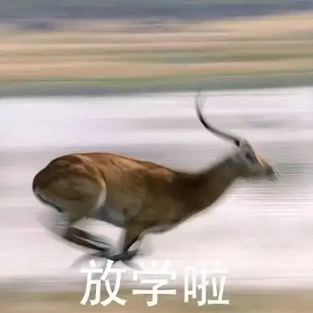 放学啦 - 溜了溜了系列_溜了溜了_装逼_群聊表情