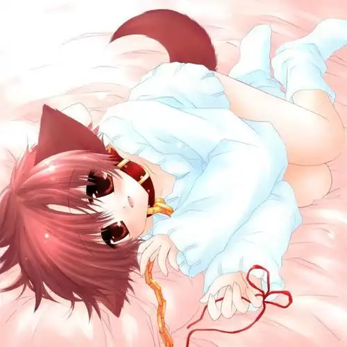 找动漫 项圈 猫