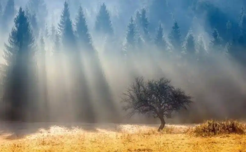 如何找出照片中的光线你可以试试局部调色