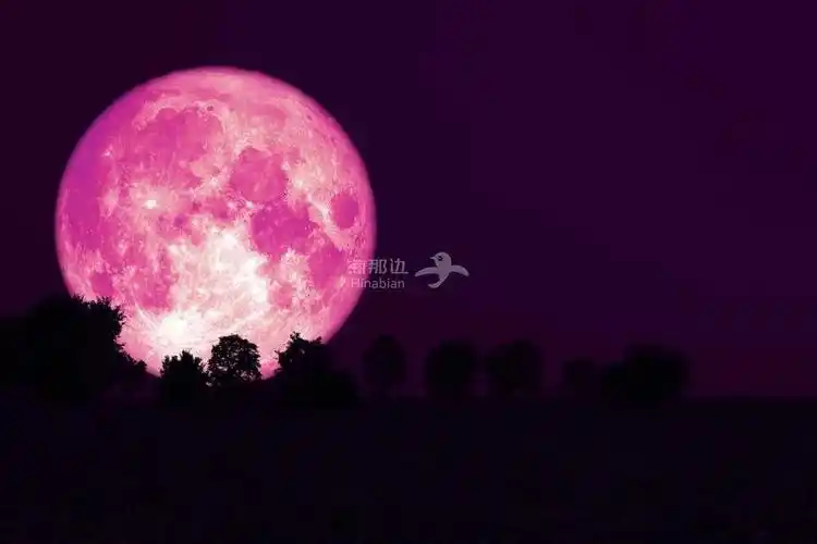 罕见天文景观大温本月将出现粉色超级月亮千万别错过