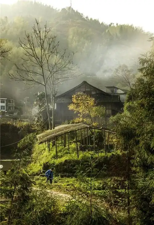 大扬杯海峡摄影2019全国摄影10月赛山里人家参赛作品选登九