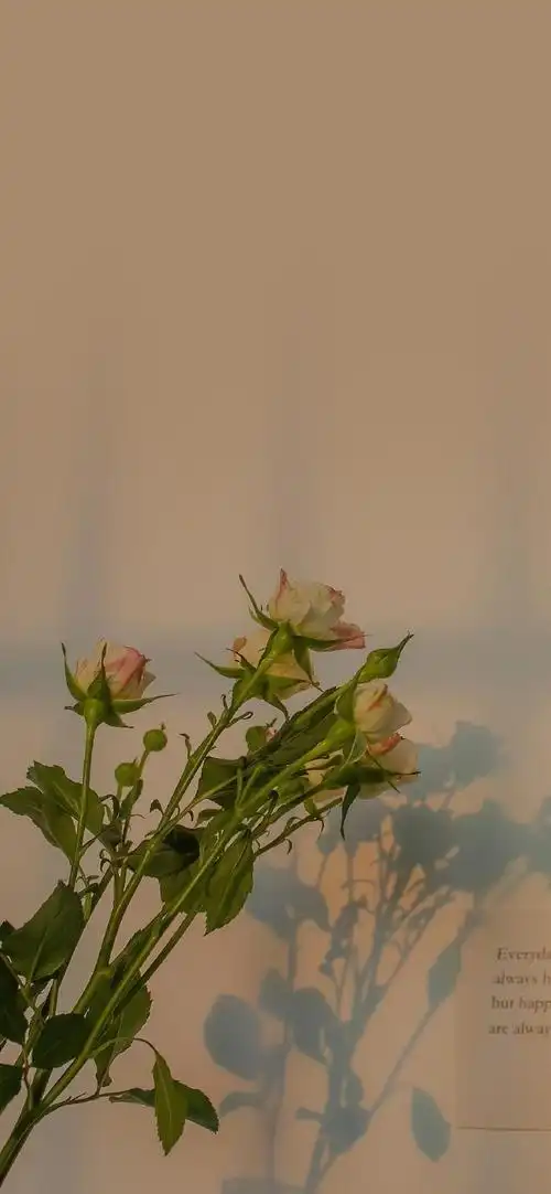 唯美清新花束高清手机壁纸