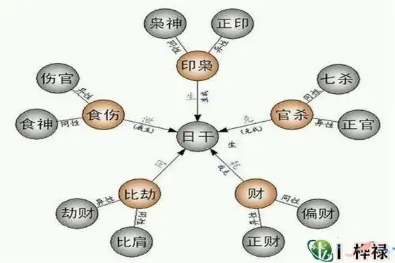 八字阳干从势 阳干从气不从势,阴干从势不从气