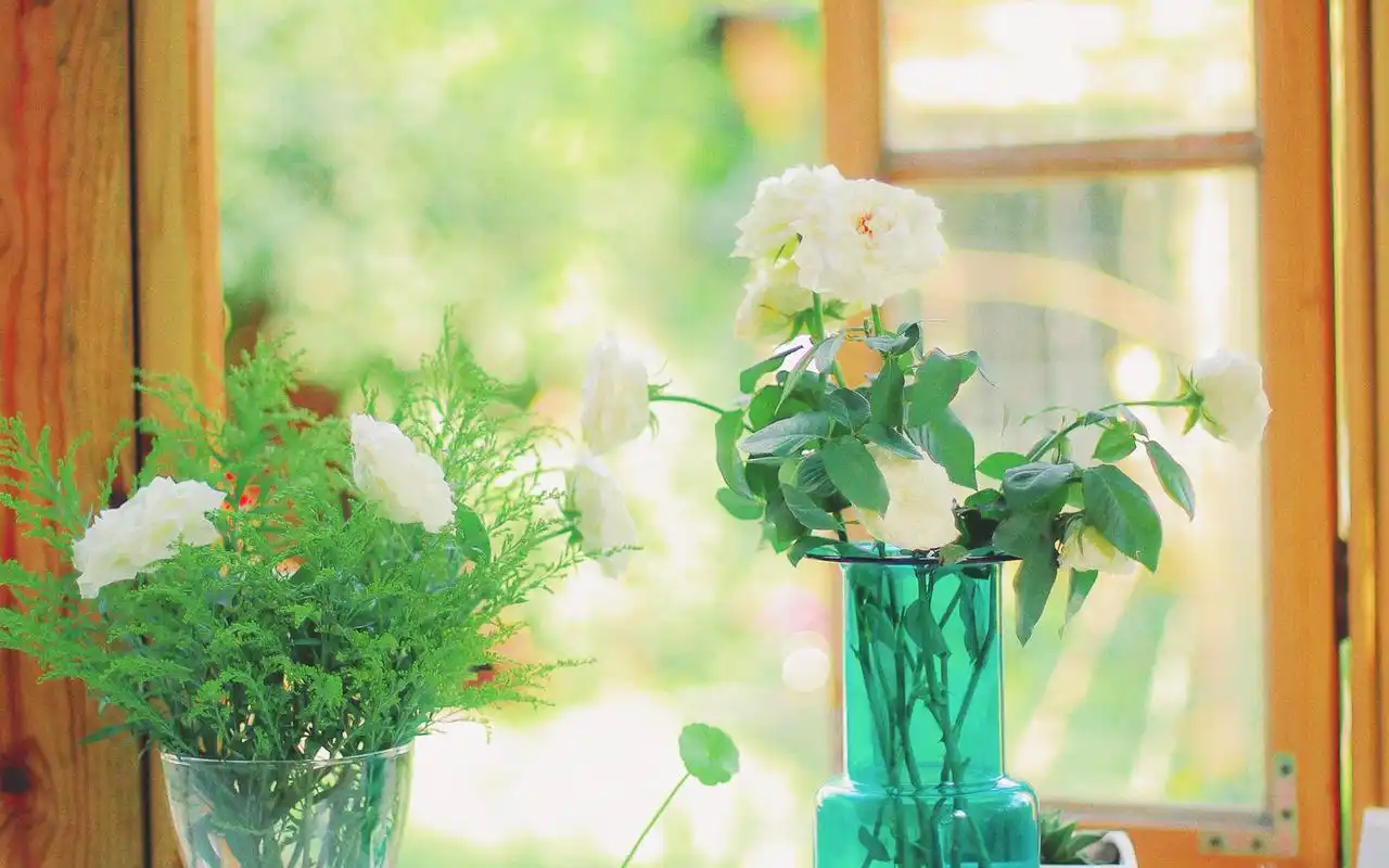 日系胶片感图片高清电脑桌面壁纸