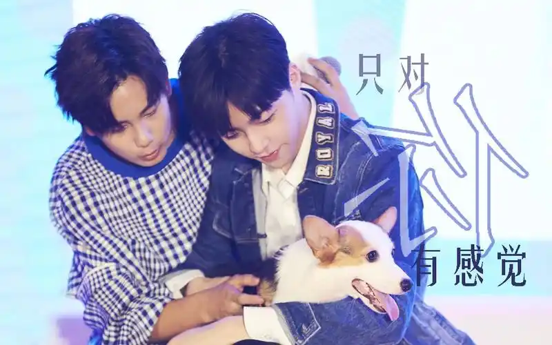 【糊弄cp】【陈立农x胡先煦】只对你有感觉|hi室友甜向