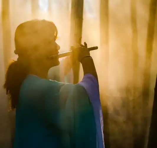 我在这里等你 写美篇摄影/宋旭光老师 文字:村姑     桃园野菊,一个在