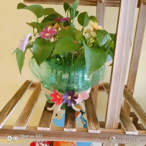 剑桥幼儿园废旧物品做花盆活动