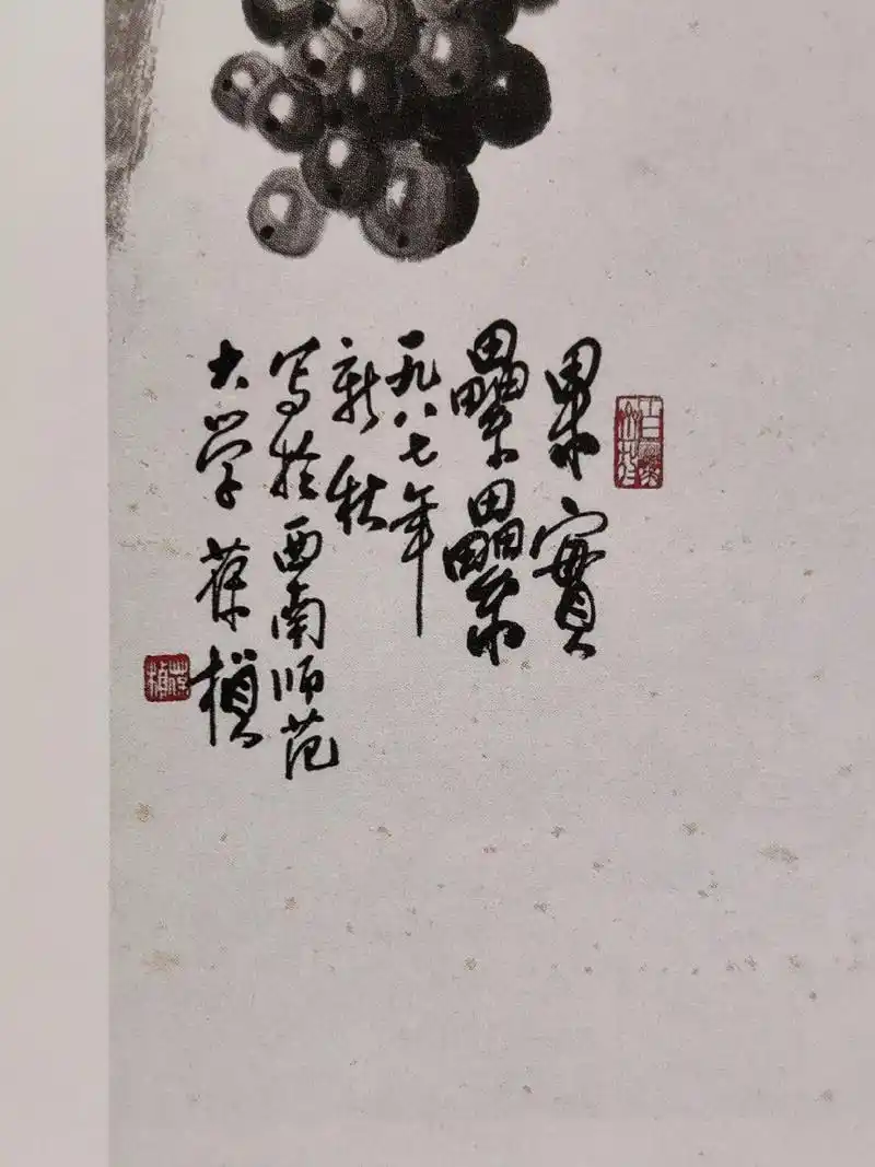 苏葆桢作品鉴定.95 此件《墨葡萄》 笔笔紧凑,笔迹线条线质 - 抖音