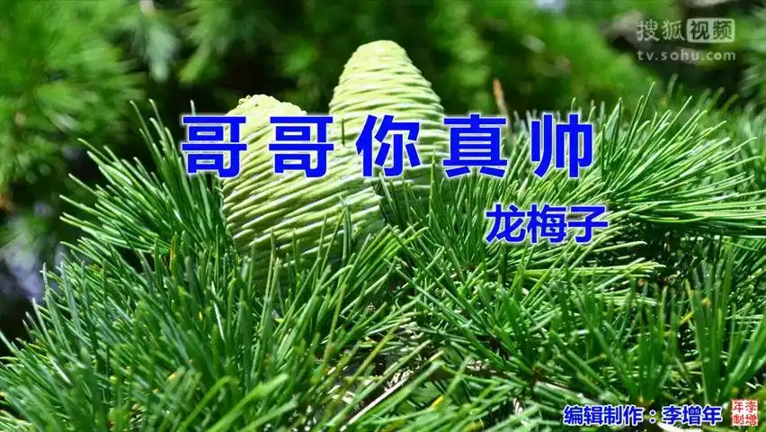 《哥哥你真帅》