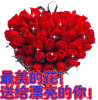 哥也永远爱你 05-14 00:00回复 紫英儿:哇,哥哥好漂亮的玫瑰花谢谢