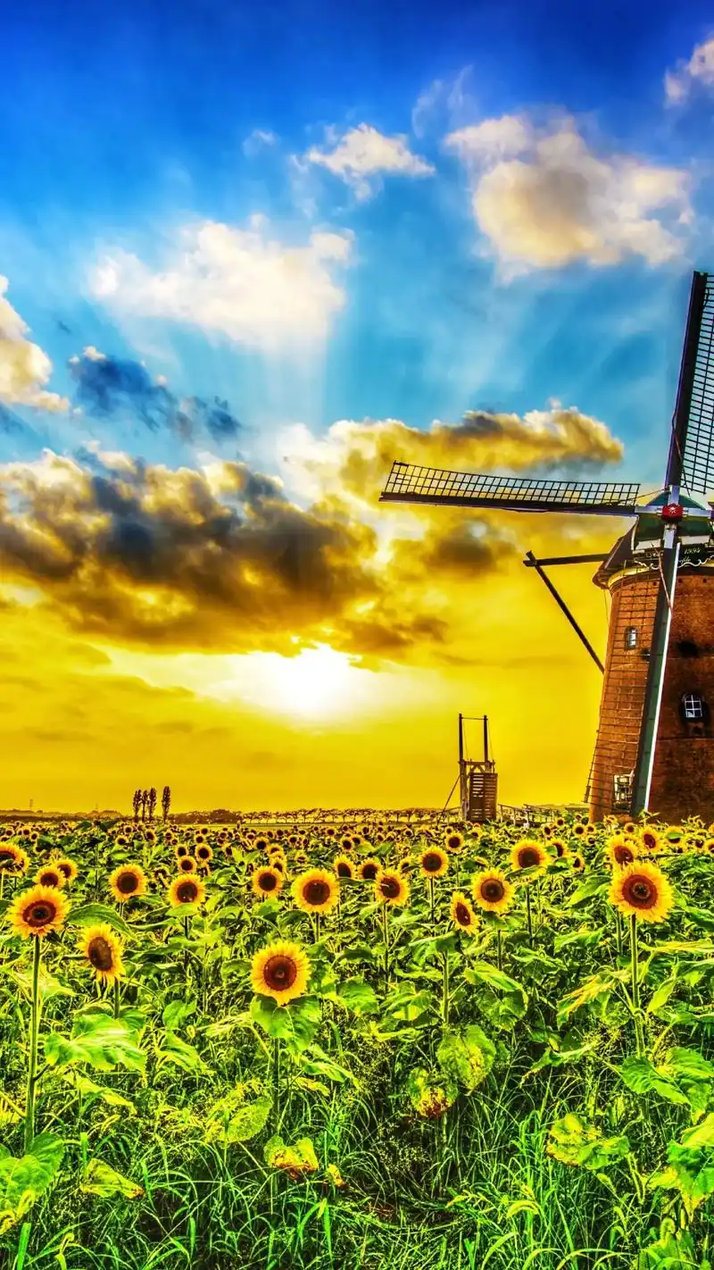 抖音图文来了 #治愈系风景 #唯美意境 想了一百个春天的文 - 抖音