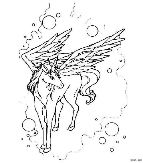 马的简笔画涂色飞马