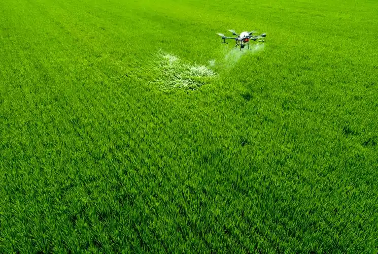 植保人员在泰州市海陵区苏陈镇镇东社区水稻田间操作无人机进行喷防