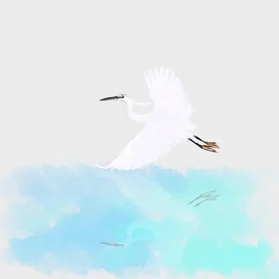 手绘白鹭素材