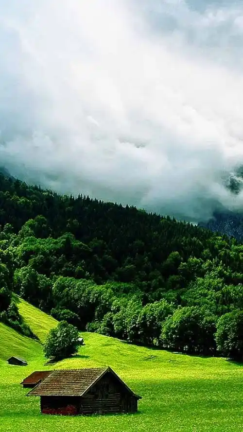 小清新,护眼壁纸,绿野,唯美风光,小清新,护眼,自然美景,春天,手机壁纸