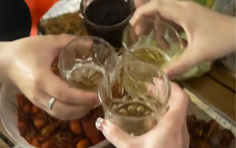 【小拉的vlog】小狗小狗!去朋友家喝酒聊天摸小狗囖