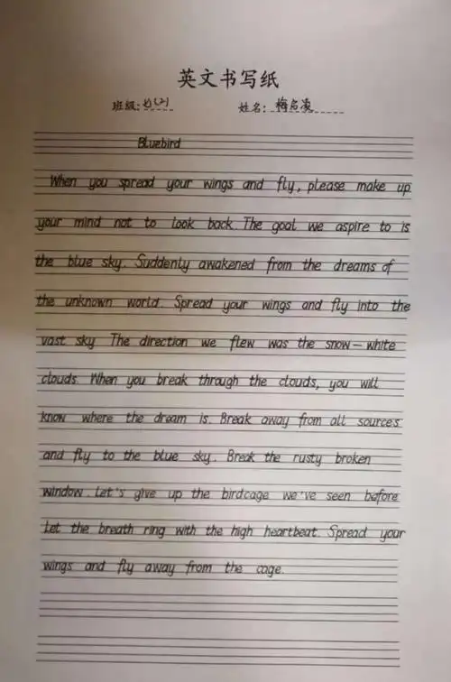 a组衡水体书法展示