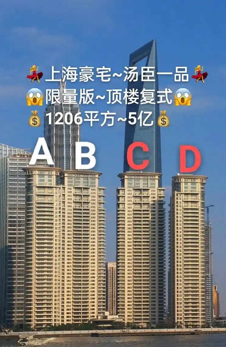 上海豪宅~汤一品顶 汤臣一品顶楼复式05  最大复式:120 - 抖音