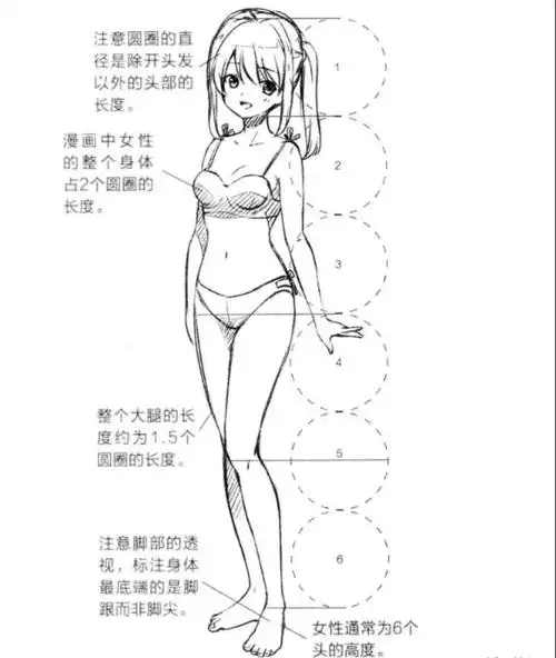 【cg原画插画教程】如何确定人体的比例