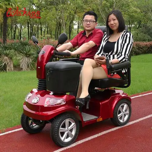 威之群4034电动车老年代步智能老人残疾人助力双人老年代步车