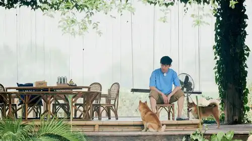 《向往的生活》成熟男神何炅时尚帅气剧照