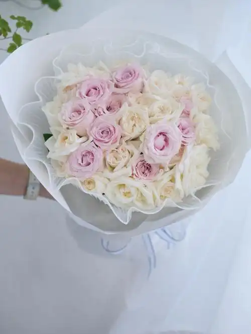 粉白色玫瑰花束