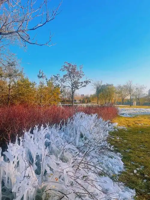 随手拍丨发现身边的美⑧ - 知乎