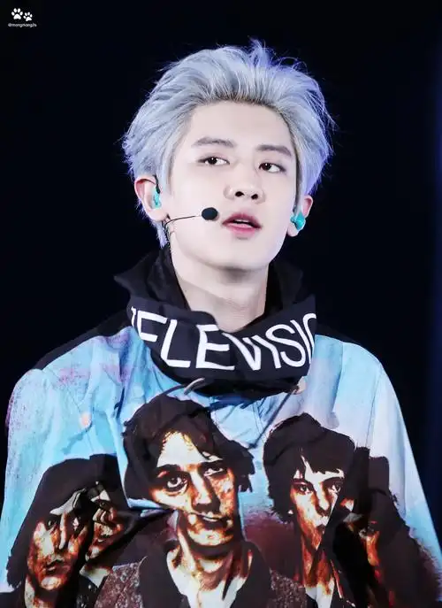 朴灿烈-堆糖,美好生活研究所