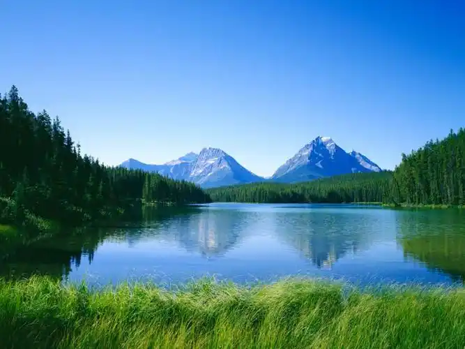 一碧千里的草原,静静的白桦林,肥腴的沃土,碧波万顷的良田,自然环境与