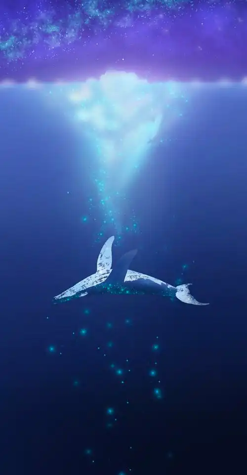鲸鱼星辰大海