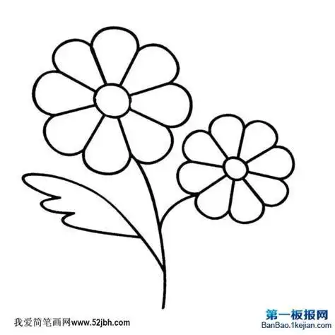 简笔画花边框图片 花边简笔画手抄报花边简笔画