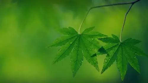 52m上传时间:2020-06-16壁纸标签:护眼壁纸封面图护眼壁纸【539】壁纸