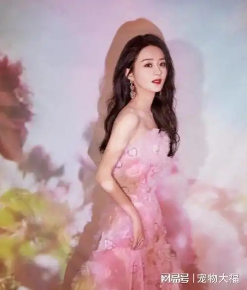 赵丽颖穿粉色流光纱裙亮相仙气十足形象大变